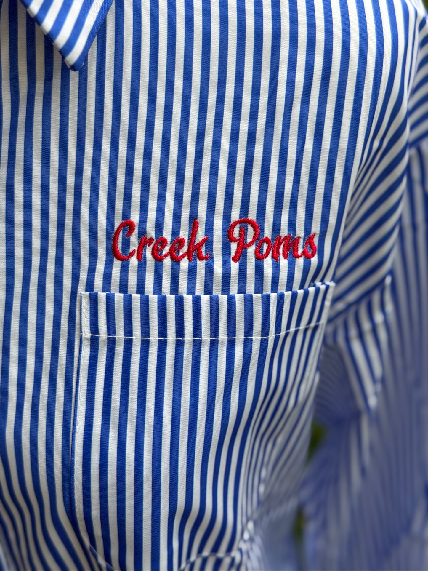 Classic Striped Button Down